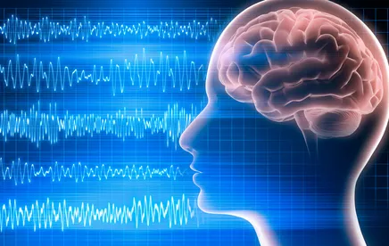 ADHD and the Brain Map Findings