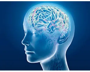 Memory Protection Plan