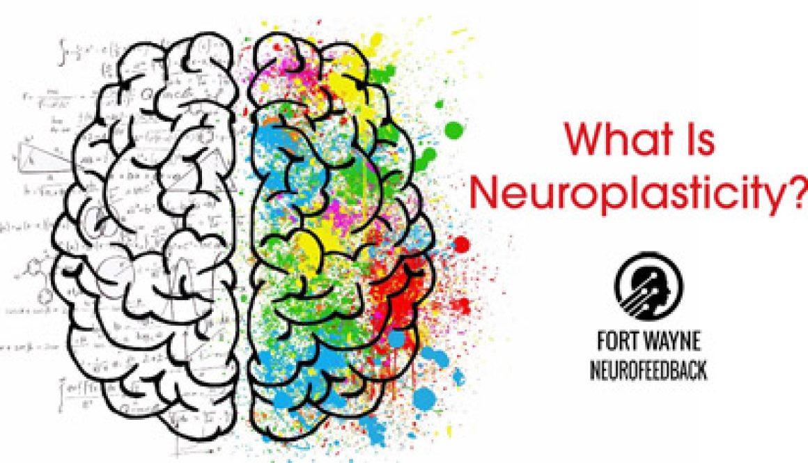 FB09-01-BLOG-neuroplasticity-1 FB09-01-BLOG-neuroplasticity-1