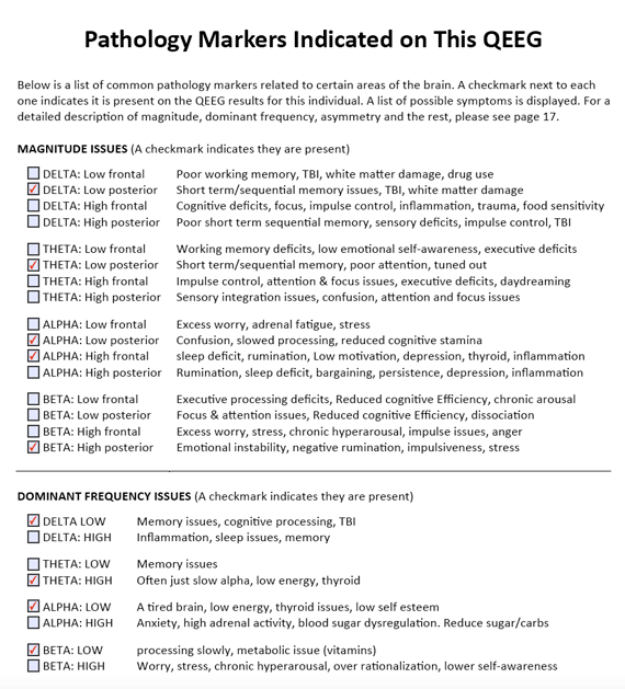 brain map report02 Fort Wayne - Brain Map Report02 